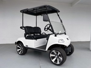 Evolution Pro Golf Ready Golf Cart Lithium Battery